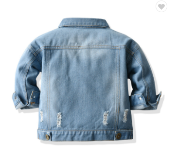 Denim Distressed Jacket